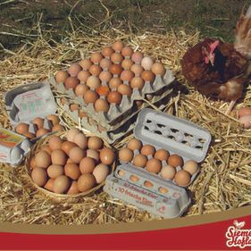 Siemer's Hofladen Eier